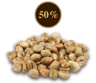 Robusta