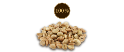 Robusta