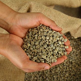 Pavan Caffe qualità
